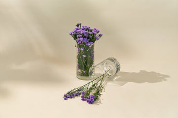 Blue Daisy